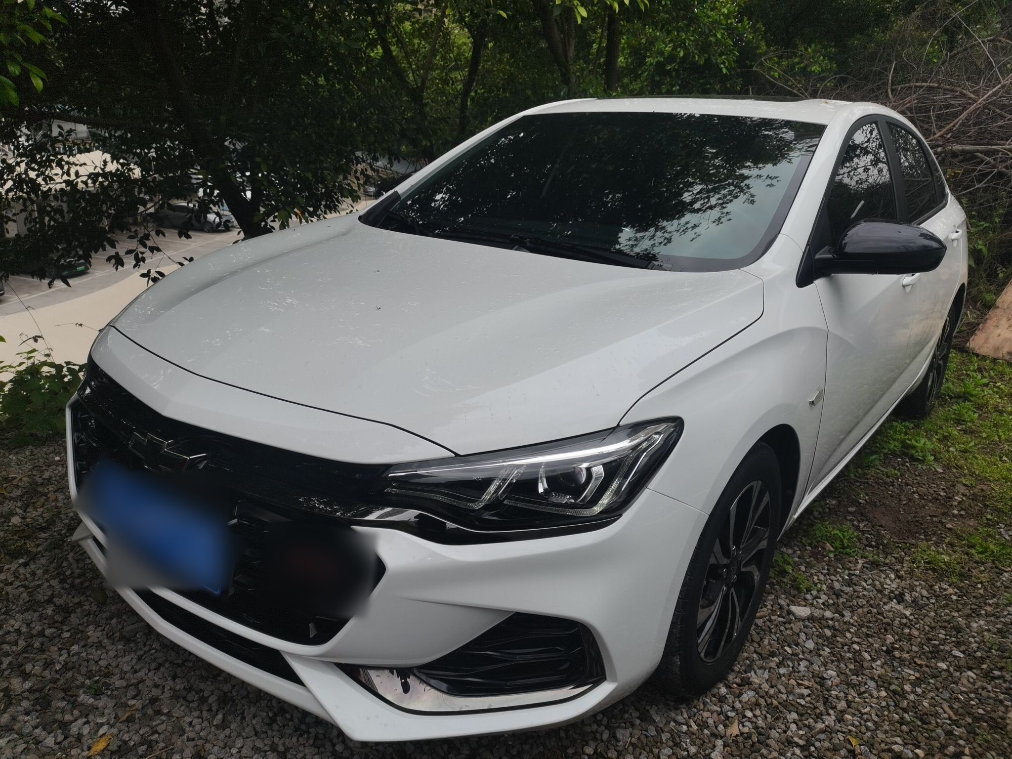 تحت مقدمة السيارة