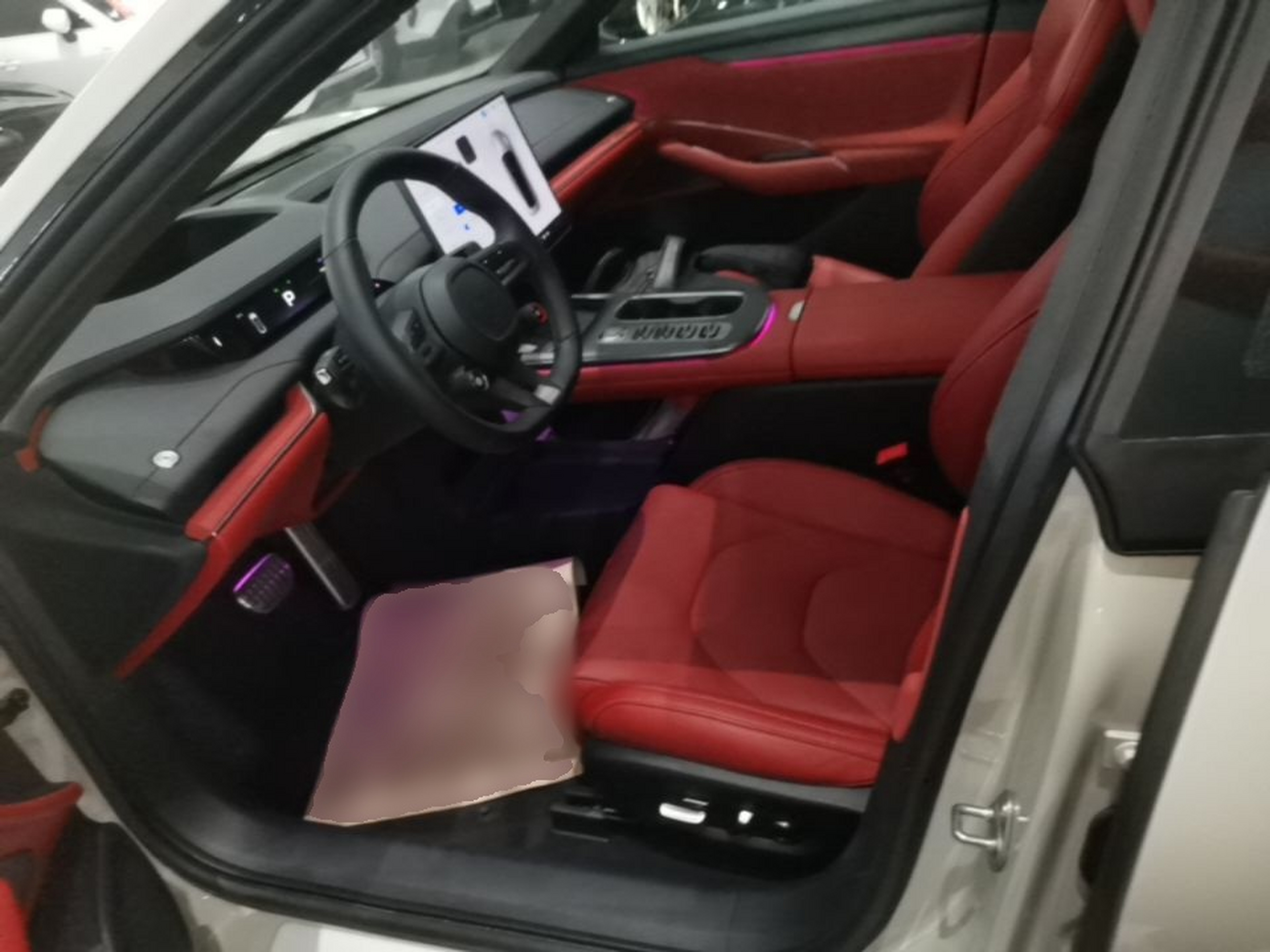 Interior delantero