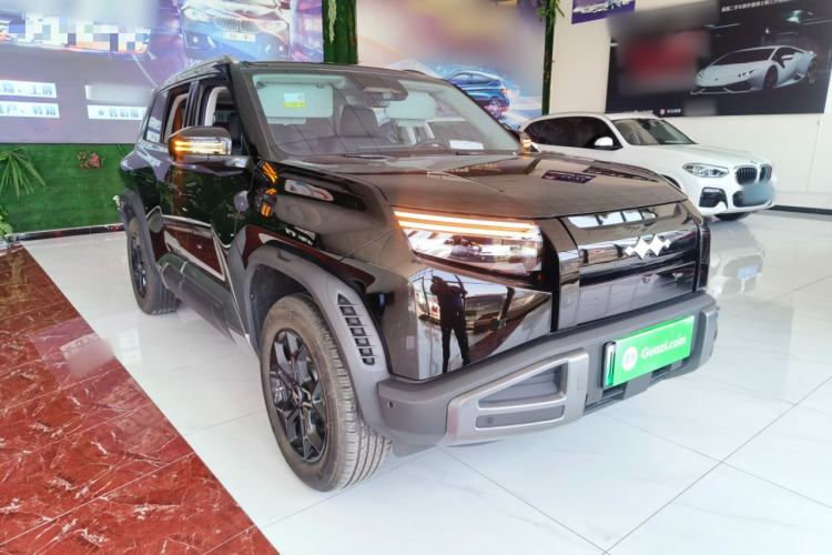 Used Formula Leopard Titanium 3 2025 501 km Range Rear-Wheel Drive Intelligent Driving Max Edition