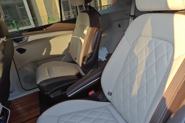 Used Volkswagen Talagon 2022 530TSI Four-Wheel Drive Flagship Shengjing Edition Pro 6-Seater Left Rear Seat