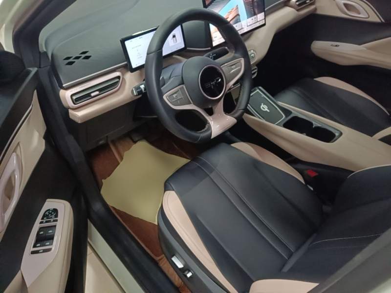 Used BYD Seagull 2023 Free Edition — 15