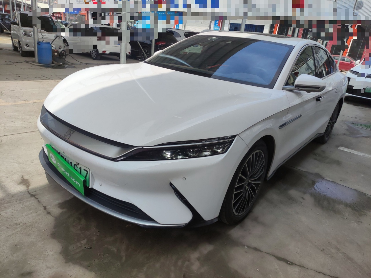 Parte inferior delantera