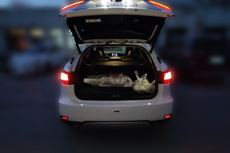 Used Lexus RX 2020 Facelifted 300 4x4 Elegant Edition Trunk