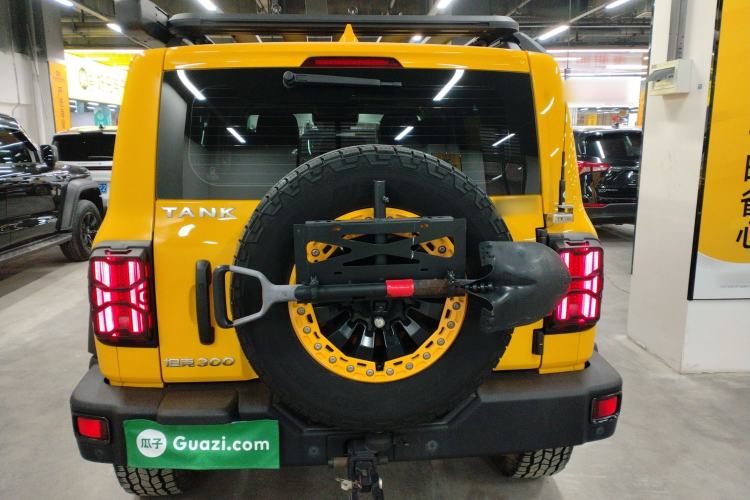 Used Tank 300 2022 2.0T Border Limited Edition
