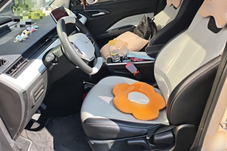 Used NETA AYA 2023 401 Lite