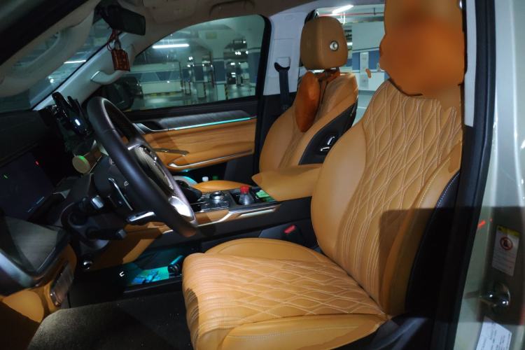 Used Tank 500 2022 3.0T Business Edition "Creation Realm" Design 5-Seater
