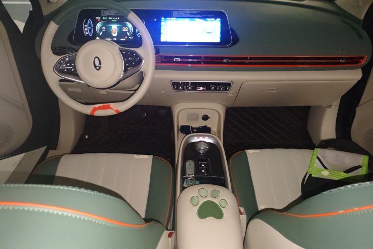 Used ORA Good Cat 2022 Morandi Edition 400km Standard Range Premium Version Lithium Iron Phosphate
