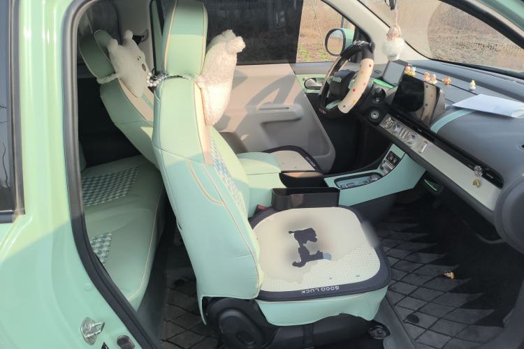 Used Qiyuan Lumin 2022 155 km – Refreshingly Sweet Edition