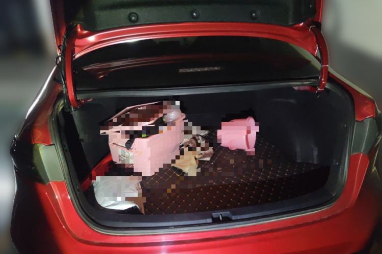 Used Toyota Levin 2021 185T CVT Sport Edition Trunk