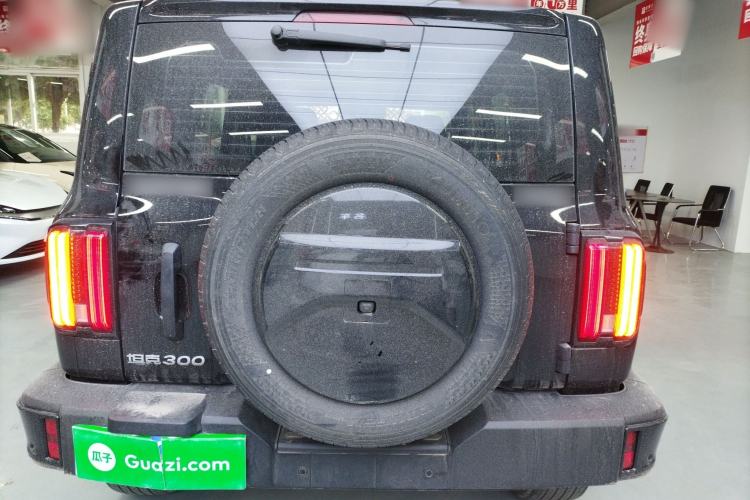 Used Tank 300 2024 2.0T Challenger