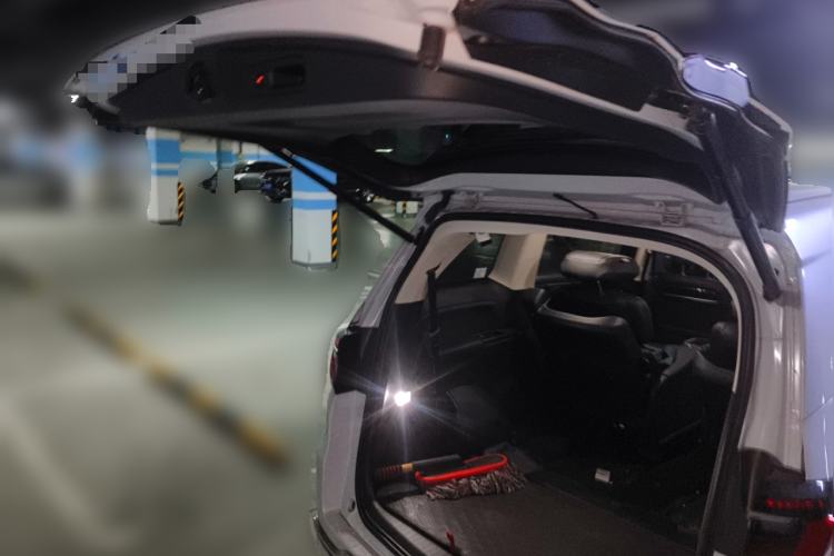 Used Honda Elysion 2024 2.0L eHEV Luxury Edition