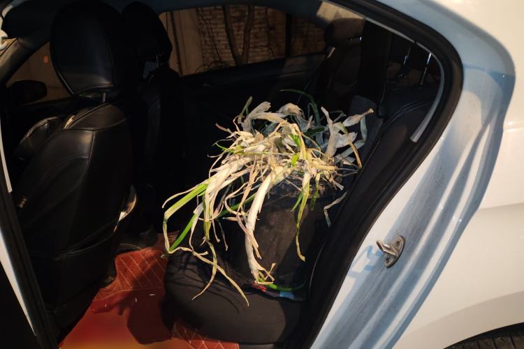 Used Volkswagen Jetta 2017 1.5L Manual Fashion Edition Left Rear Seat