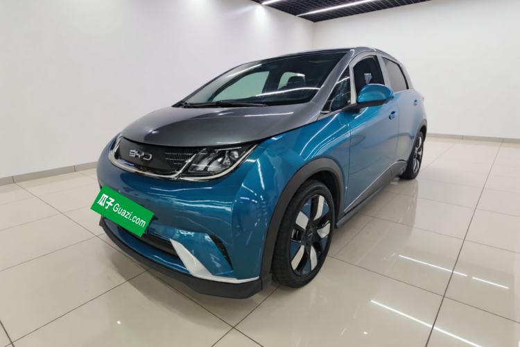 Used BYD Dolphin 2021 401km Knight Edition