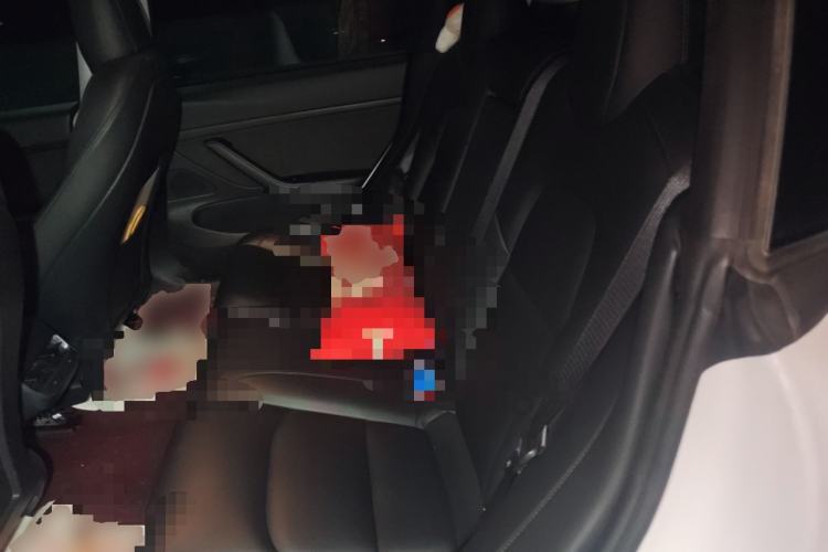 Used Tesla Model 3 2020 Revised Version Standard Range Rear-Wheel Drive – Upgraded Edition