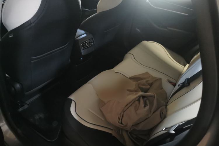 Used BYD Destroyer 05 2024 HONOR Edition DM-i 55KM Luxury Model Left Rear Seat