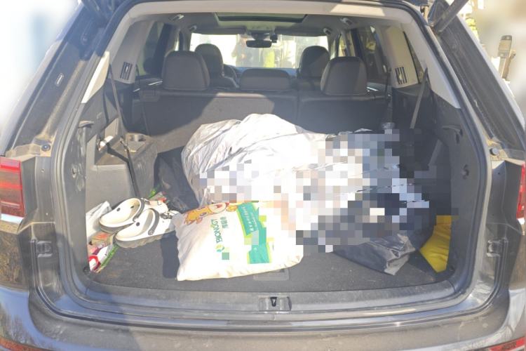 Used Volkswagen Teramont 
