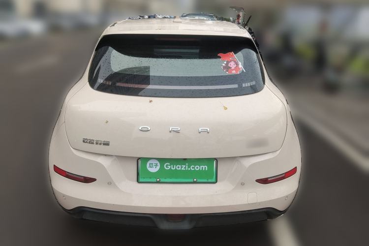 Used ORA Good Cat 2022 Morandi Edition 400km Standard Range Premium Version Lithium Iron Phosphate Rear