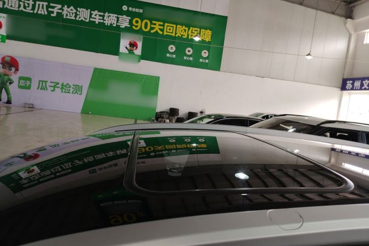 Used Geometry E Firefly 2022 401 km Linglong Tiger 4 Seats
