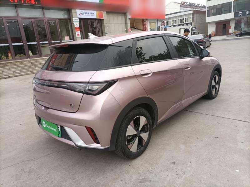 Used BYD Dolphin 2023 420 km Free Version — 6