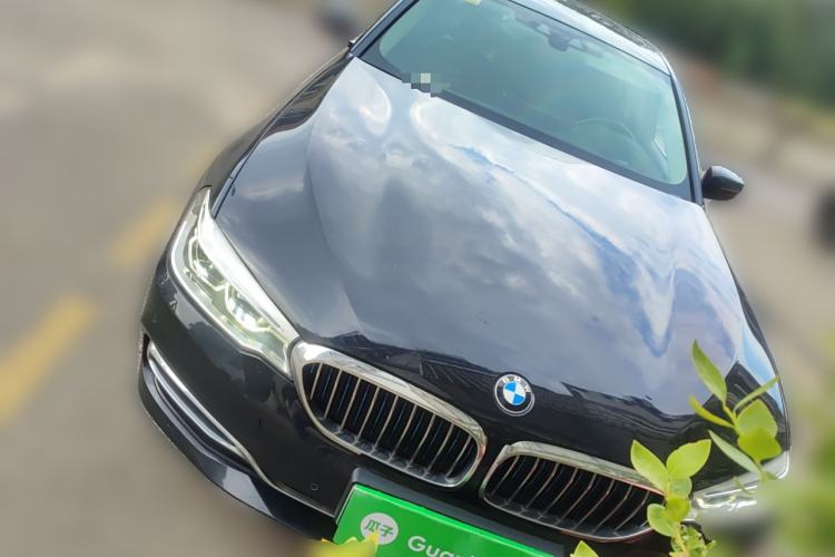 Used BMW 5 Series New Energy 2019 530Le Luxury Package