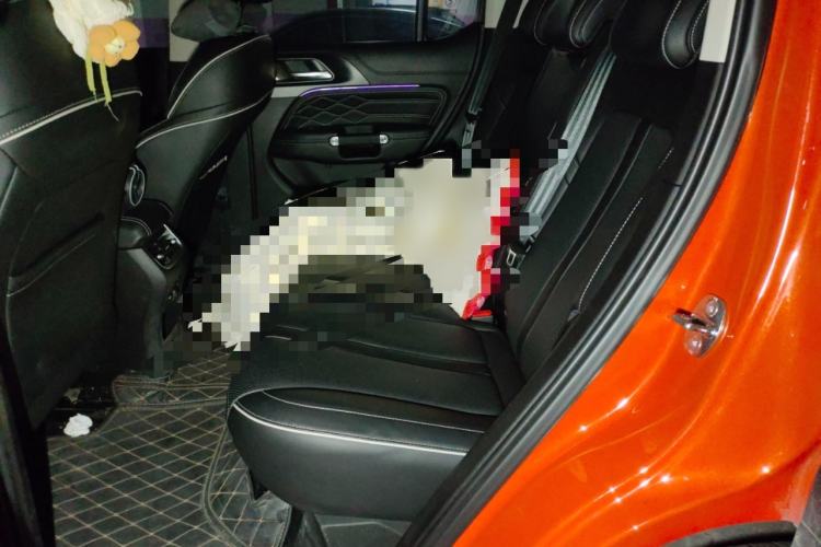 Used Tank 300 2024 2.0T Conqueror
