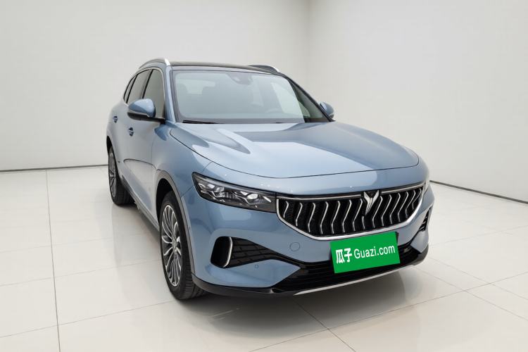 Used VOYAH FREE 2021 Four-Wheel Drive Standard All-Electric Exclusive Luxury Package
