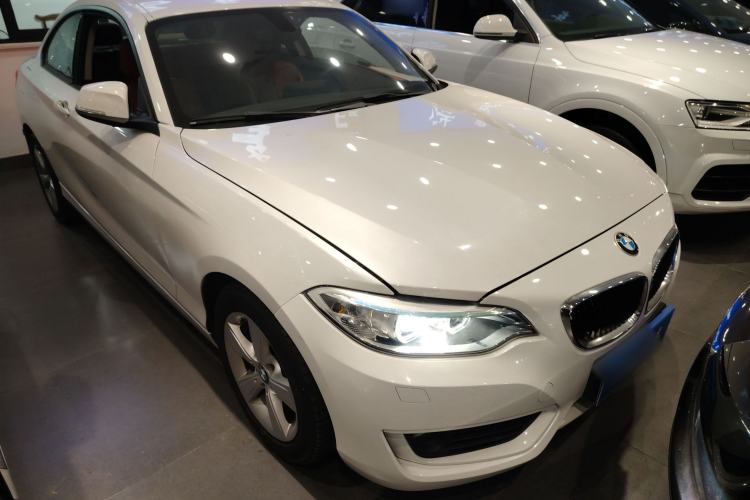 Used BMW 2 Series 2014 220i Leading Model