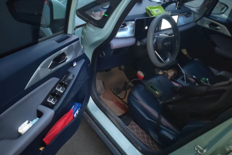 Used Geometry E Firefly 2022 320KM Cute Tiger 4-Seater
