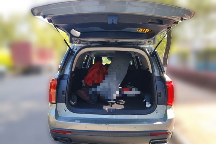 Used Haval H5 2023 2.0T Automatic Two-Wheel Drive LinkedIn Gasoline
