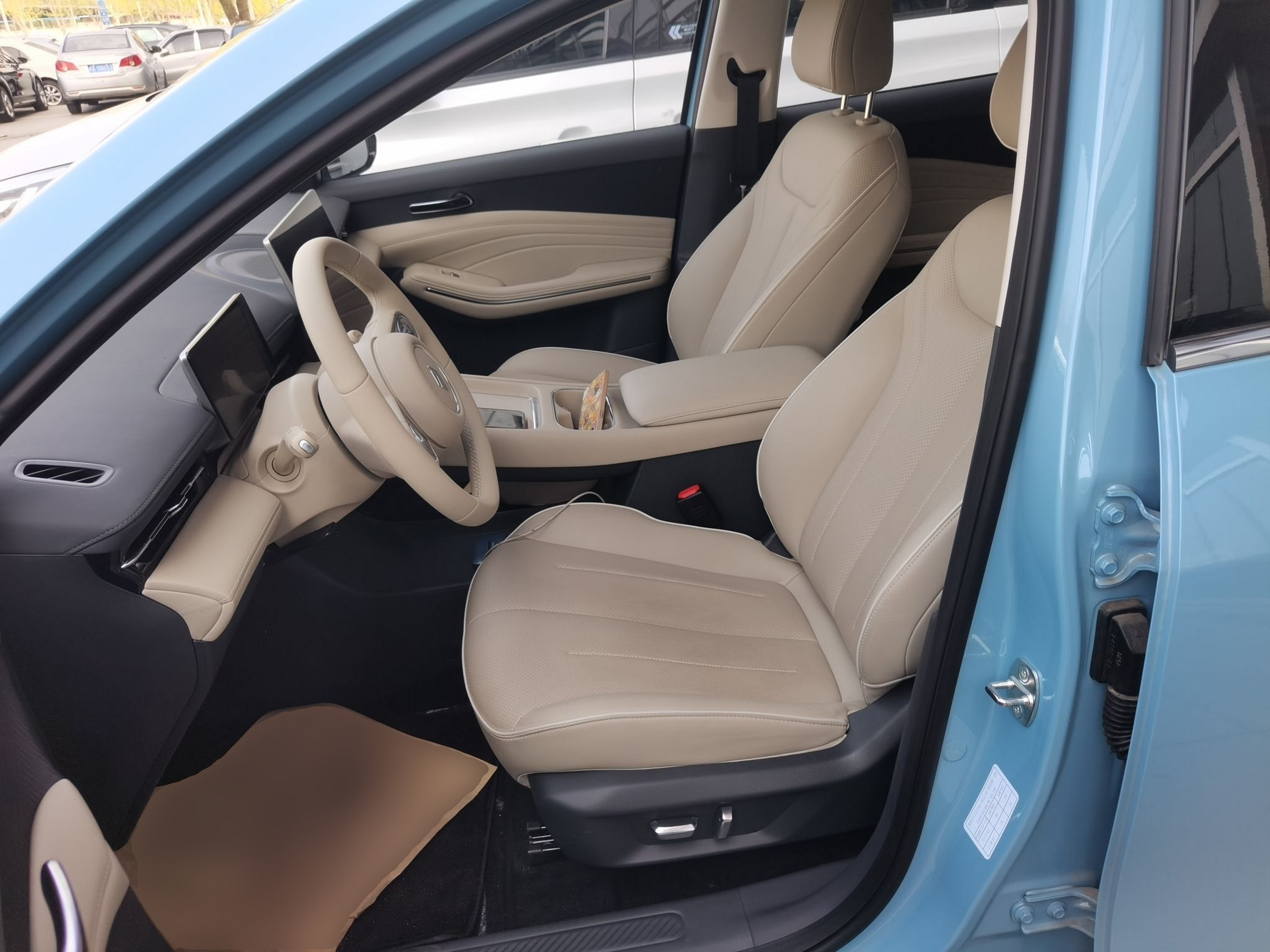 Interior delantero