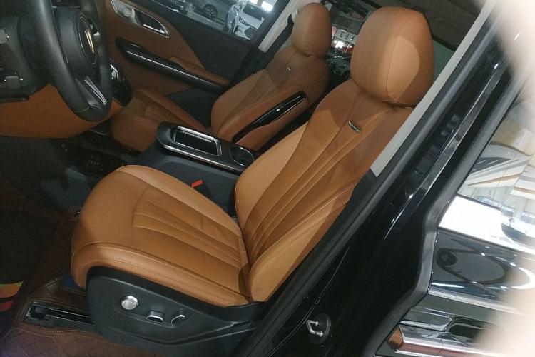 Used Hongqi HQ9 2023 2.0T Smart Connect Flagship Edition