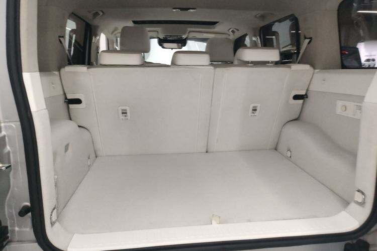 Used Cyberspace Tank 300 2021 2.0T Cyber Tank