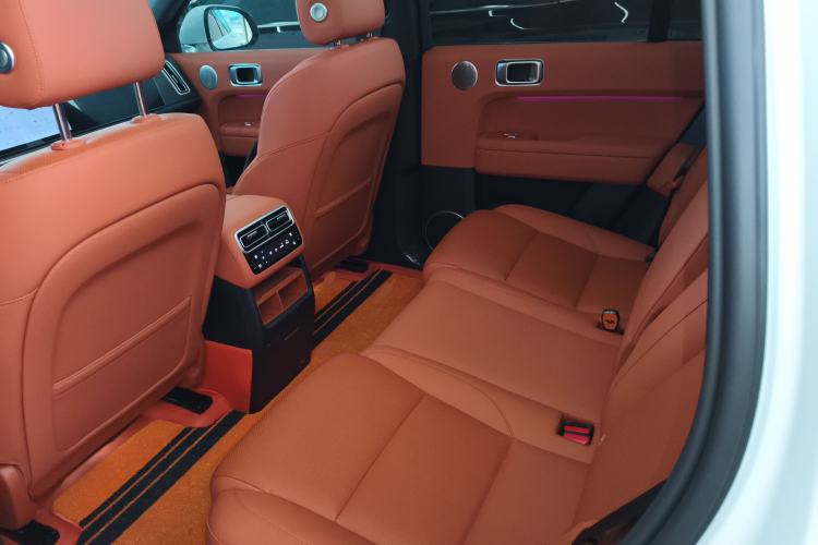 Used Li Auto L6 2024 Pro Model Left Rear Seat