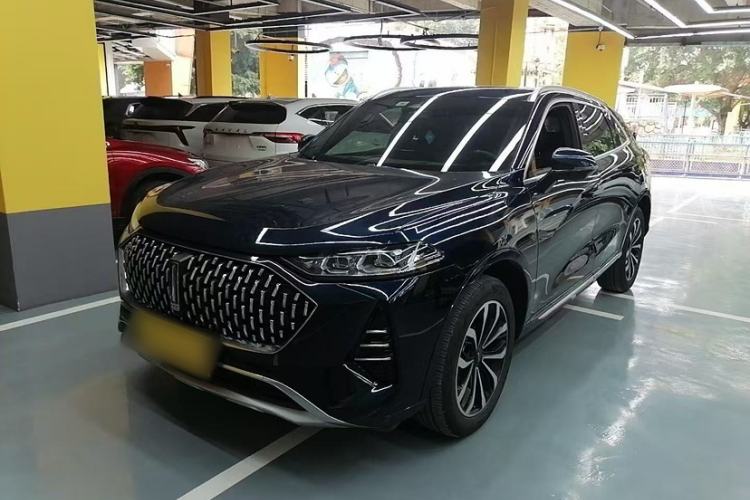 Used Wey Mocha New Energy 2024 Hi4 Four-Wheel Drive Long-Range Version