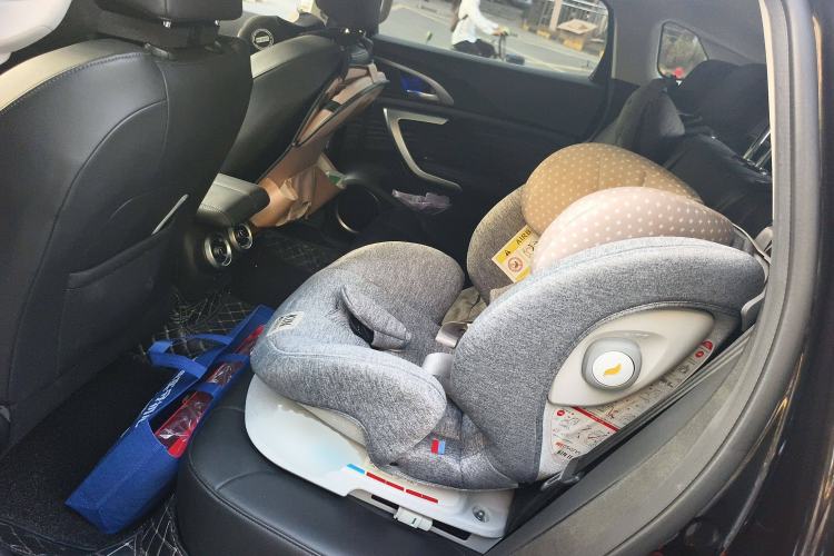 Used Wey VV7 2020 2.0T Flagship Edition Left Rear Seat