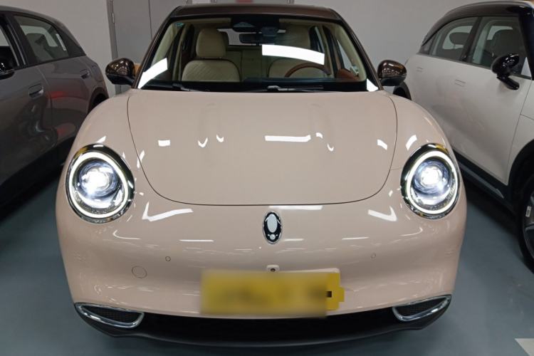 Used ORA Good Cat 2021 400km Standard Range Athena Edition Lithium-Ion Battery
