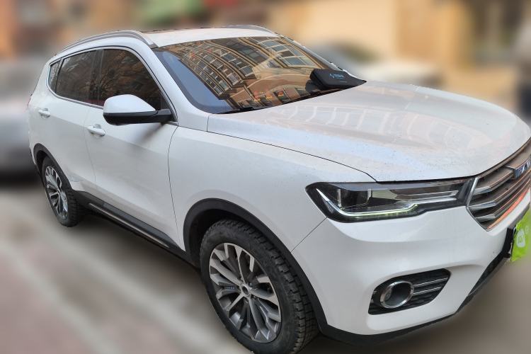 Used Haval H6 2017 Blue Label 2.0T Automatic Two-Wheel Drive Leading Model
