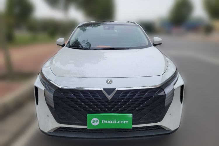 Used Venucia V 2021 260T Tianwang Edition
