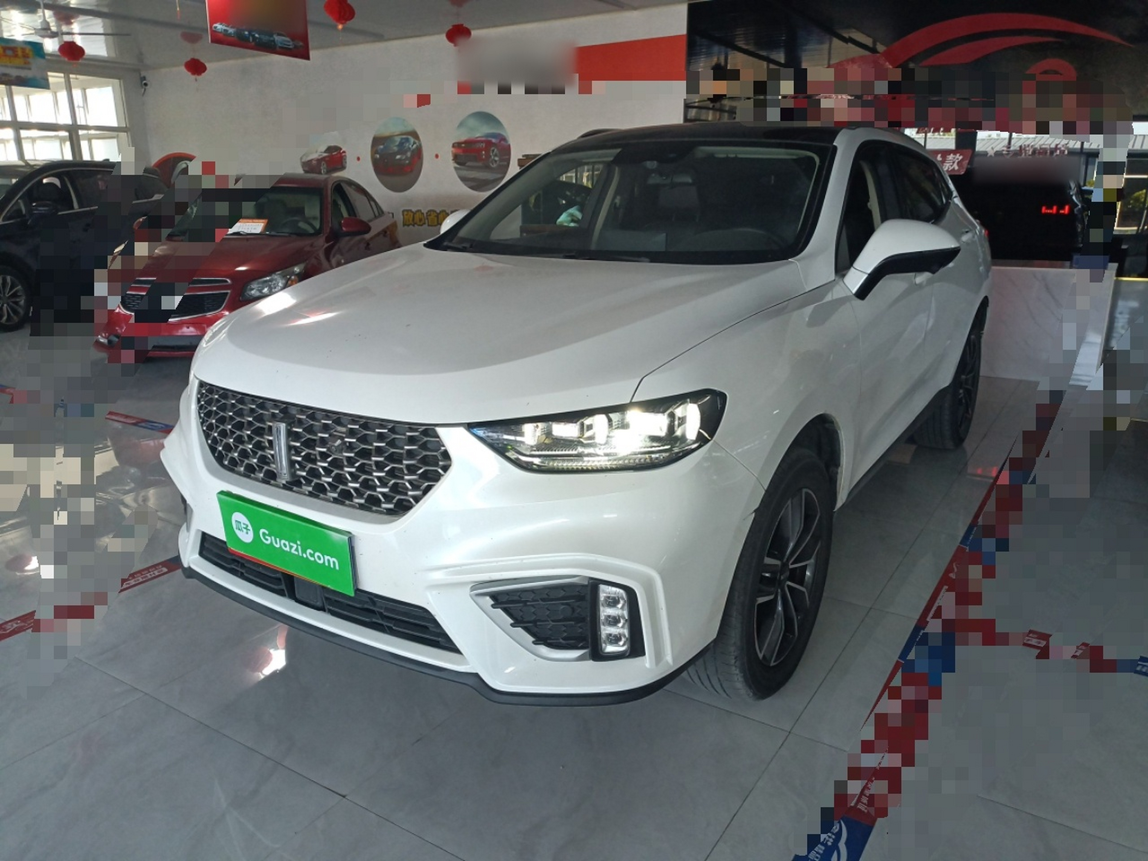 Parte inferior delantera