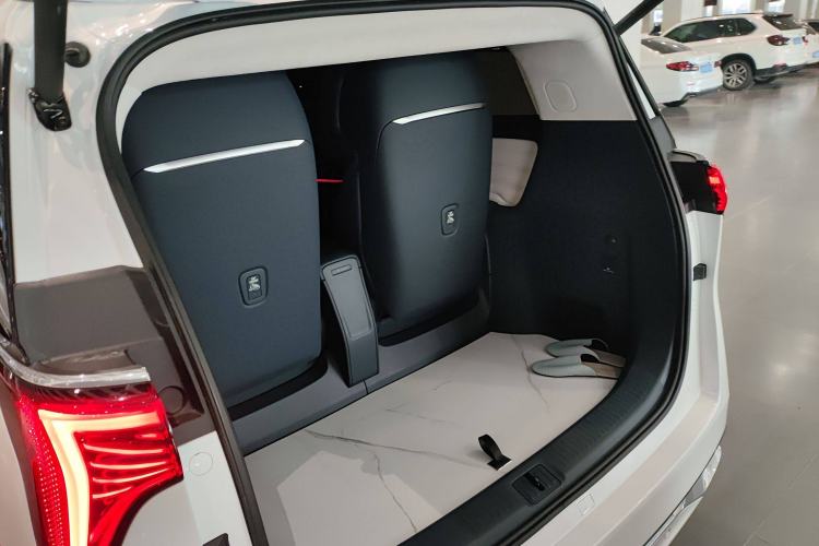 Used Buick Century 2023 2.0T Four-Seat Private Edition