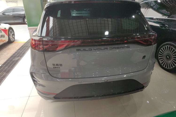 Used BYD Tang New Energy 2025 DM-i 115KM Cloud Ride Flagship Model Rear