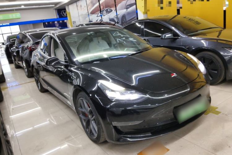 Used Tesla Model 3 2021 Performance High-Performance All-Wheel-Drive Version 3D6 Exterior 1