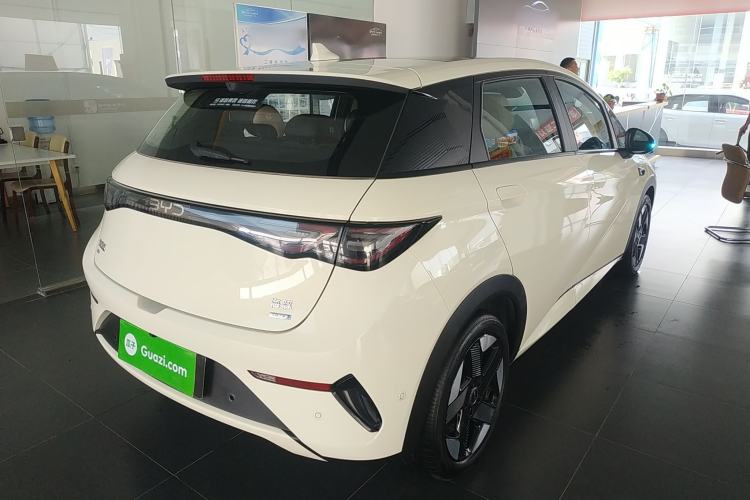 Used BYD Dolphin 2025 Intelligent Driving Version 520km Range Knight Edition Rear Right 45 Deg