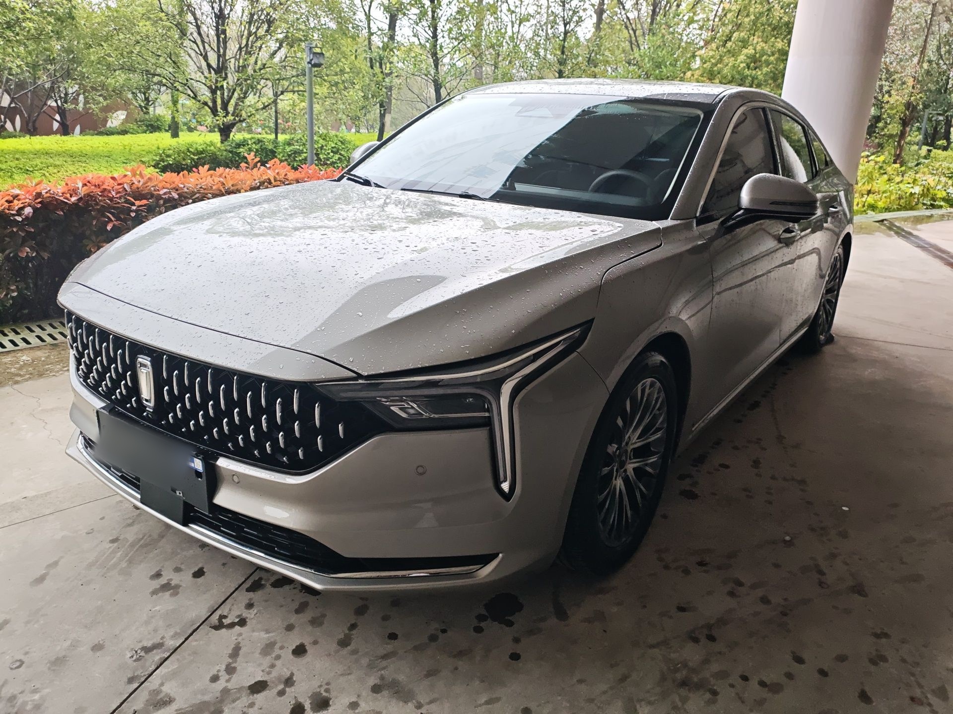 Parte inferior delantera