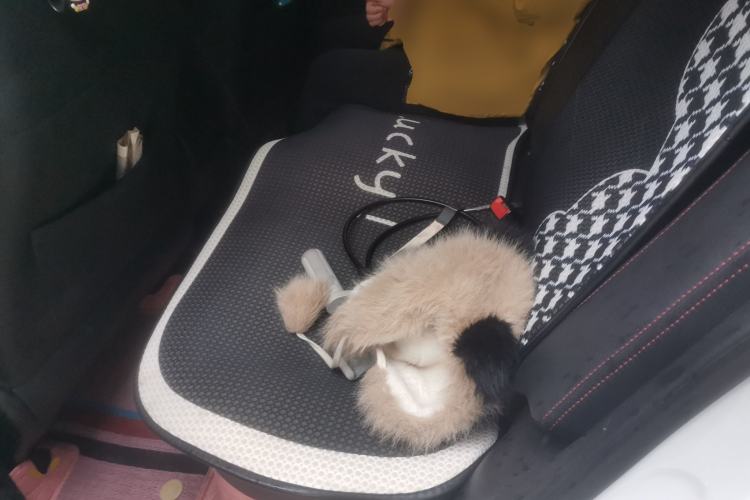 Used Geely Auto Vision X3 2021 PRO 1.5L Manual Elite Model Left Rear Seat