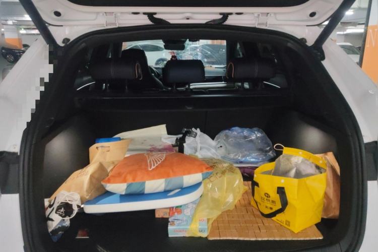 Used BYD Song PLUS New Energy 2021 DM-i 51KM Prestige Model
