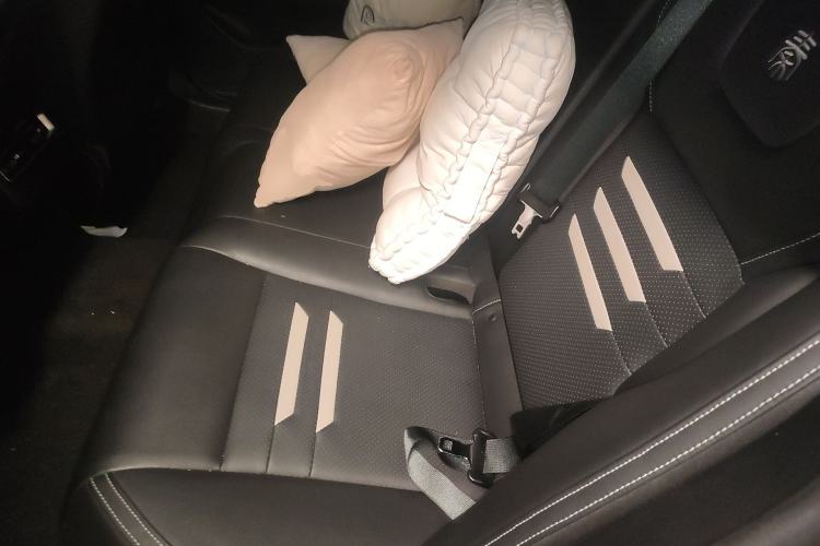 Used BYD Qin Pro New Energy 2019 EV Super Edition High-Power Smart Connect & Premium Model Left Rear Seat