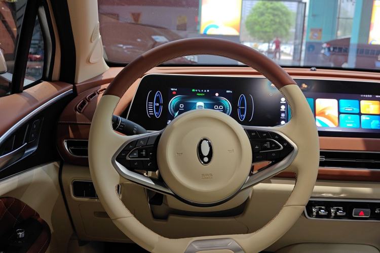 Used ORA Good Cat 2024 501 km Luxury Version