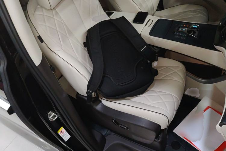 Used Denza D9 2024 DM-i 970 Luxury Model