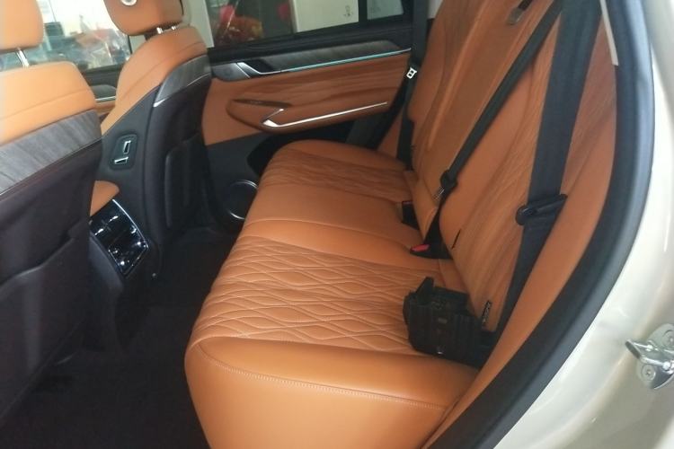 Used Tank 500 2022 3.0T Business Edition "Creation Realm" Design 5-Seater
